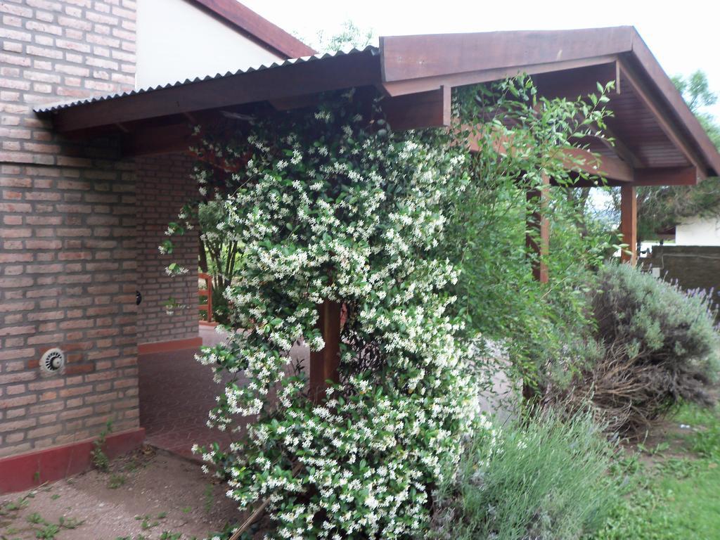 Cabanas El Dominador La Falda Dış mekan fotoğraf